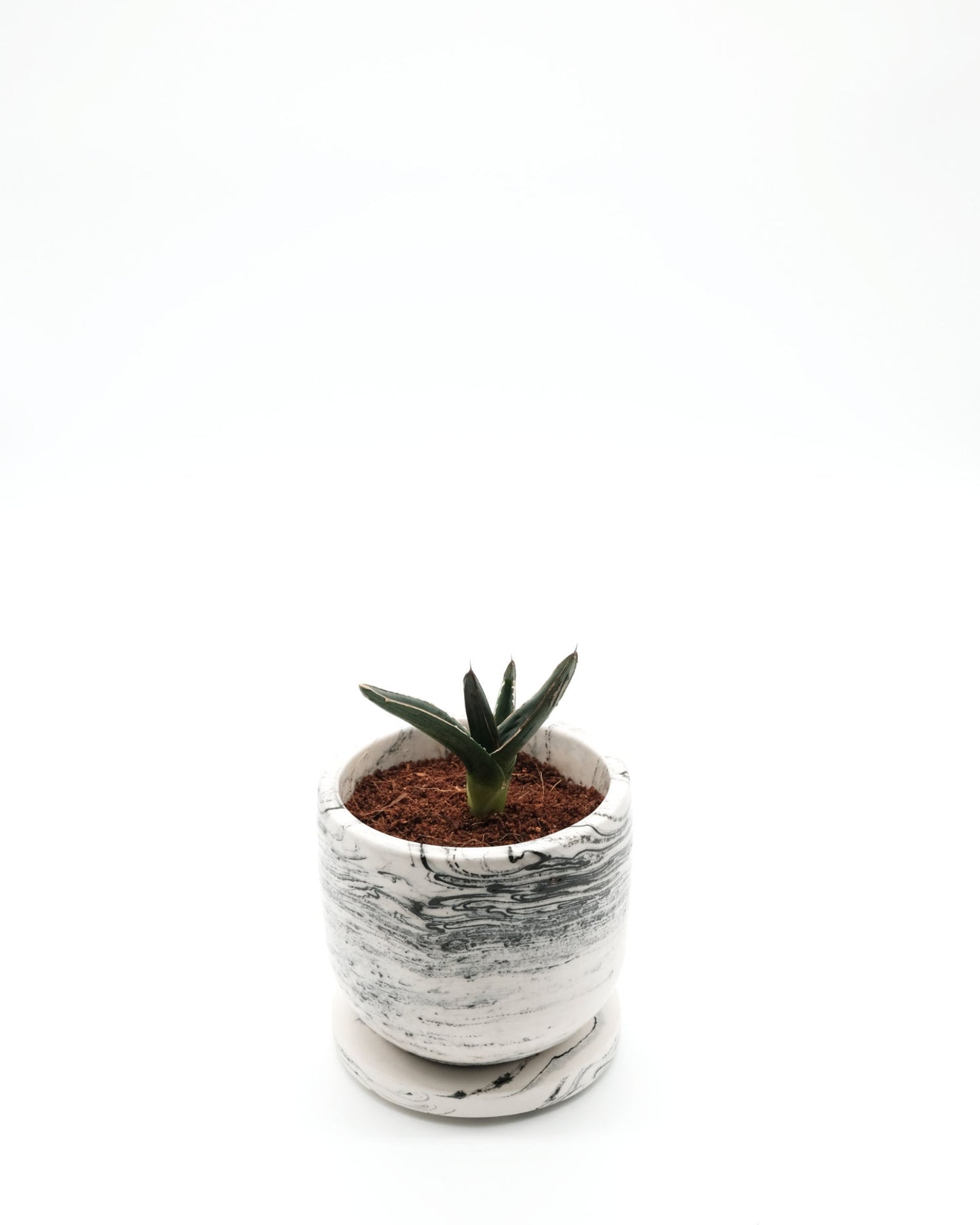 lumabloom Marble - CandlePlant Set Liebliche Vanille candleplant candleplant set duftkerze edelsteine kerze lumabloom marble marmor pflanzensamen vanille