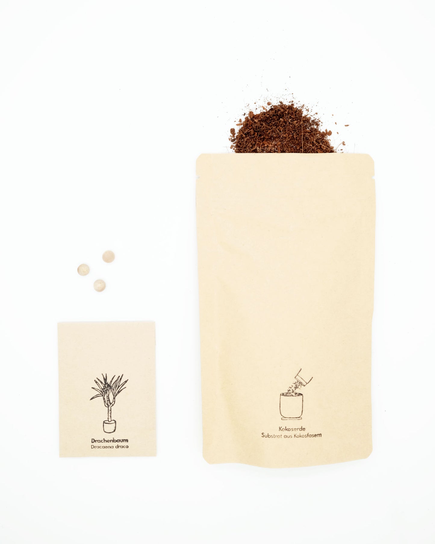 lumabloom Pflanzensamen mit Kokoserde Zubehör agave drachenbaum elefantenfuß kokoserde lumabloom pflanzensamen