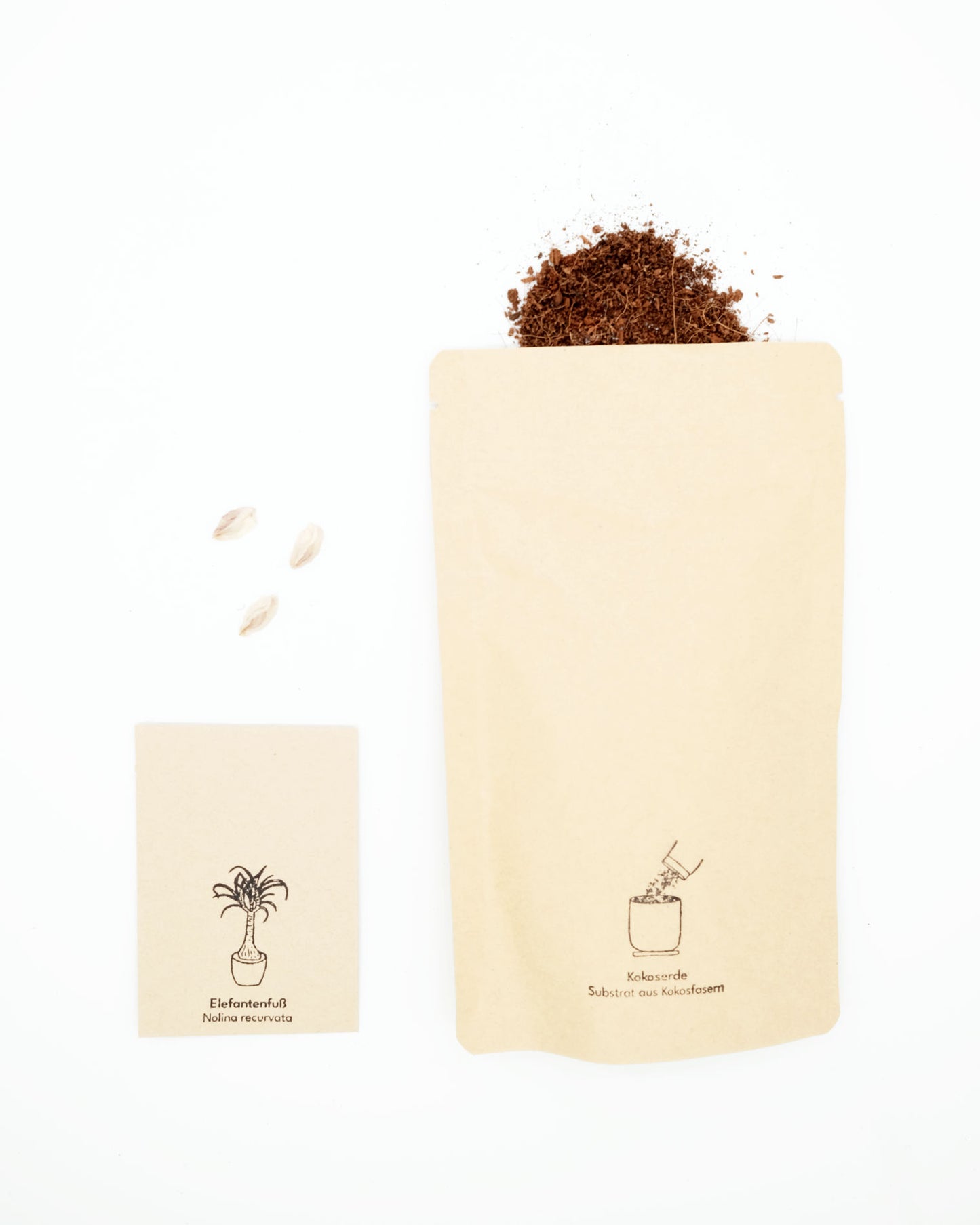 lumabloom Pflanzensamen mit Kokoserde Zubehör agave drachenbaum elefantenfuß kokoserde lumabloom pflanzensamen