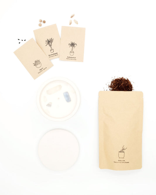 lumabloom Creme White - CandlePlant Set Reine Baumwolle candleplant candleplant set creme white duftkerze edelsteine kerze lumabloom pflanzensamen reine baumwolle weiß