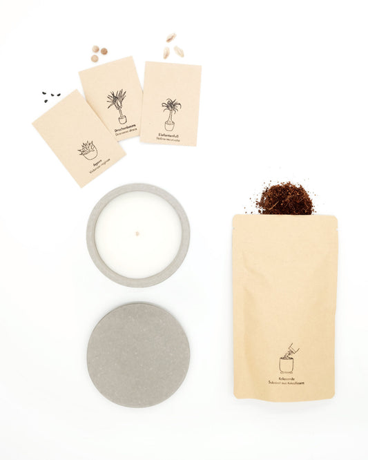 lumabloom Pure Beton - CandlePlant Set Ohne Duft beton candleplant candleplant set kerze lumabloom ohne duft pflanzensamen pure beton